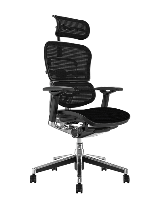 Ergohuman Office Chair