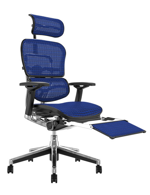 Ergohuman Office Chair with Leg Rest